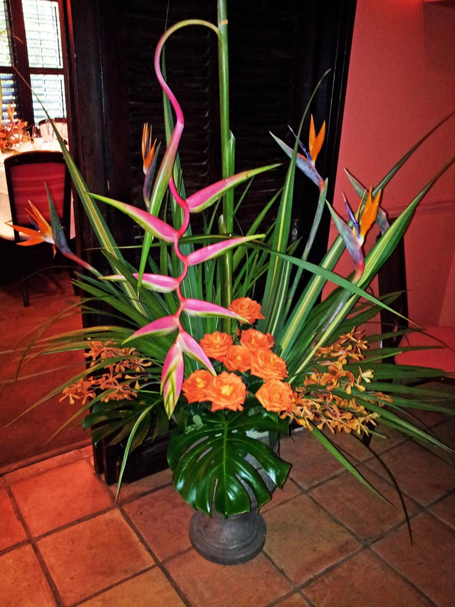The Caribbean Court Boutique Hotel Vero Beach Room photo